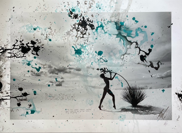 Raphael Mazzucco' Agave' 2015